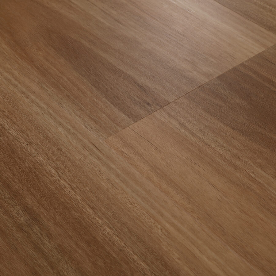 EASTERN MAPLE 